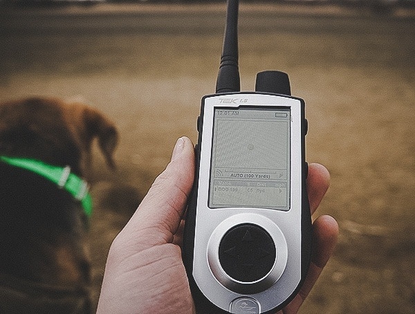 Sportdog Brand Tek 1 5 Gps Tracking Plus E Collar Handheld Range