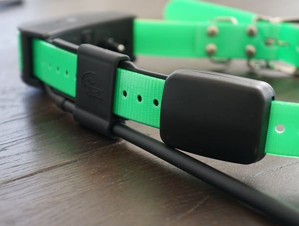 Sportdog Brand Tek Series 1 5 Gps Tracking Plus E Collar Antenna Detail