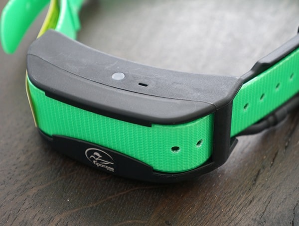 Sportdog Brand Tek Series 1 5 Gps Tracking Plus E Collar Detail
