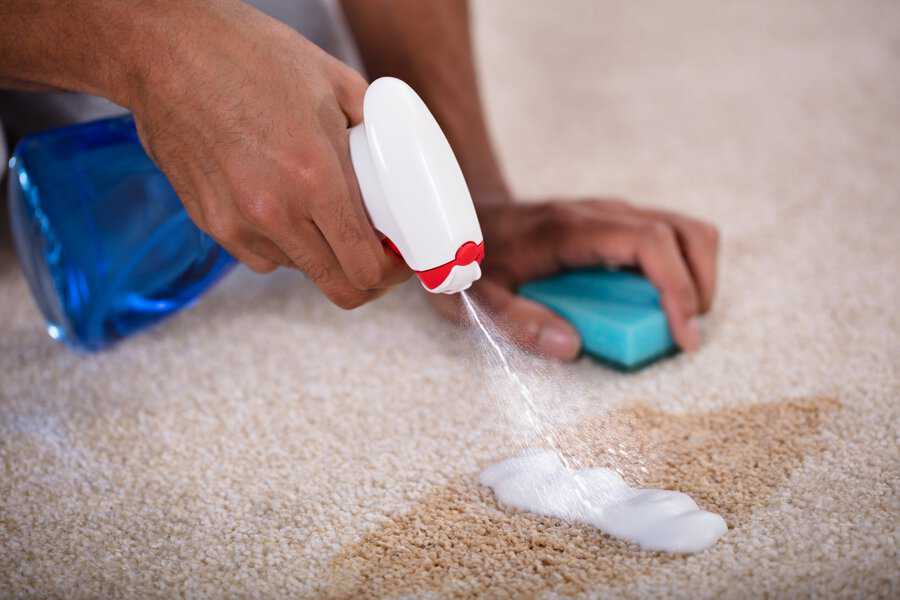 spot cleaning carpet