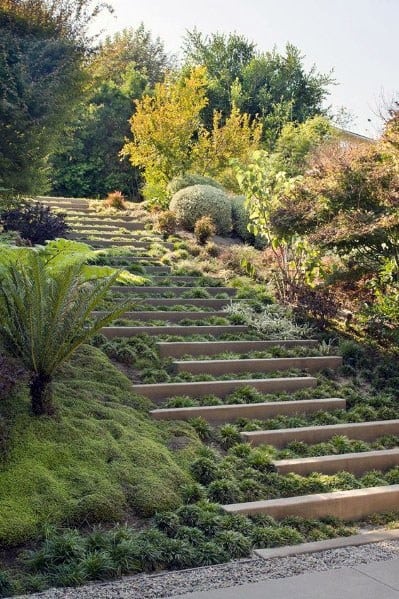 Sloped landscape with modern, wide concrete steps, lush green ground cover, and natural foliage creating a serene garden pathway
