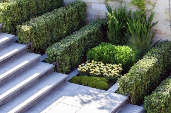 Stone steps surrounded by manicured hedges and neatly arranged flower beds.