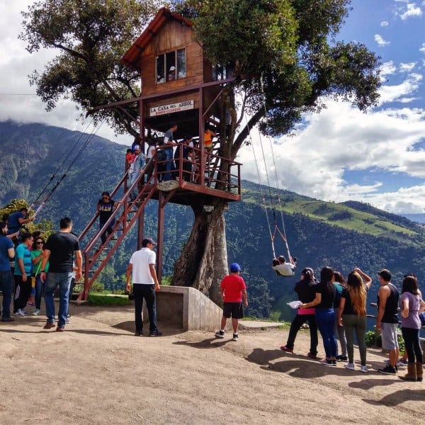 People waiting in line for a swing at a treehouse with a scenic mountain backdrop