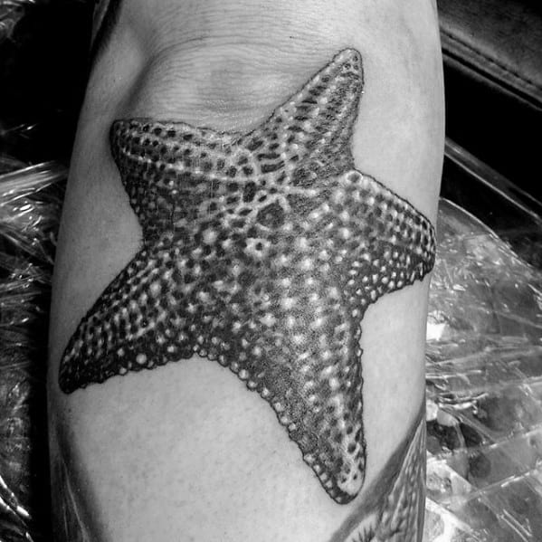 Highly realistic black and grey starfish tattoo with detailed texture and shading, placed on the inner arm.