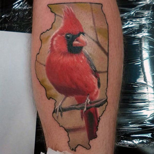 State Outline With Cardinal Bird Mens Arm Tattoos