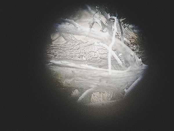 Steiner Military Marine 10x 50 Binoculars Reviews Lens View Zoom Distance