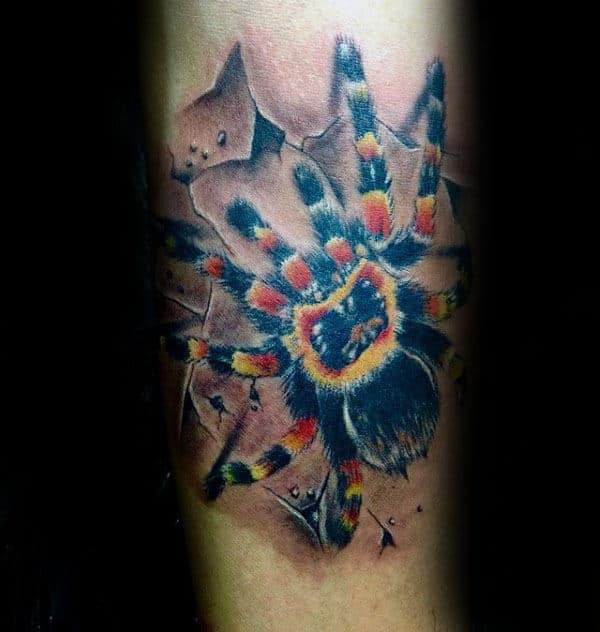 Stone Tarantula Spider Outer Forearm Tattoos For Guys
