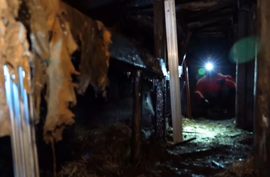 strange-and-creepy-things-found-in-ice-image-3