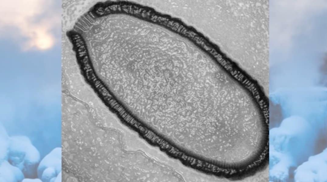 strange-and-creepy-things-found-in-ice-image-4