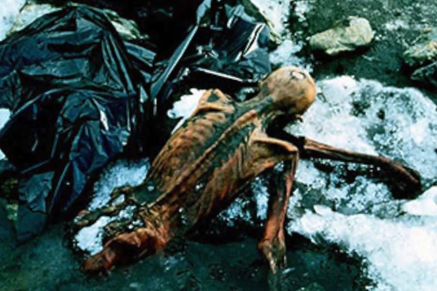 strange-and-creepy-things-found-in-ice-image-8