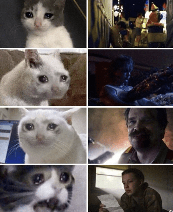 stranger-things-memes-17