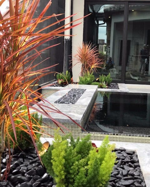 Modern backyard with a small pool, lush plants, and black stones around the edge for decoration