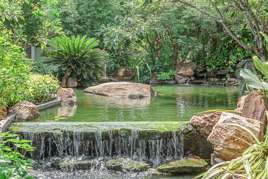 rocky waterfall landscape