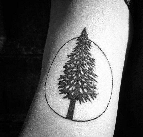 Minimalist Christmas tree tattoo enclosed in a simple oval outline, featuring bold black ink and negative space for a clean, modern look.