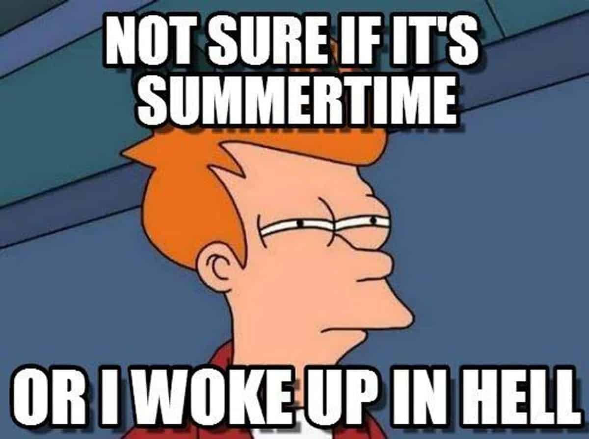 summer-memes-14