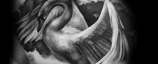 Swan Tattoo Designs For Men