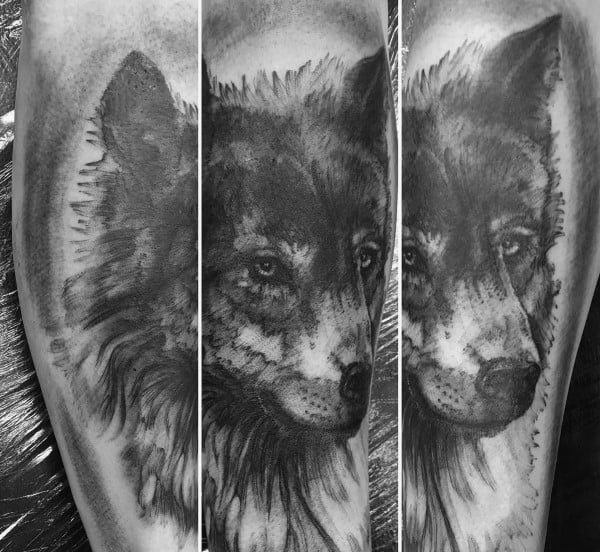 Hyper-realistic Siberian Husky tattoo on a man's arm, featuring intricate fur details, soft shading, and expressive eyes for a lifelike and intense design.