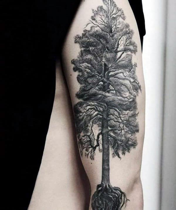 Tall Tree With Roots Mens Arm Tattoos