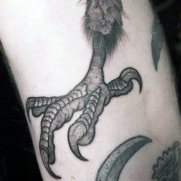 Talon Tattoo Design Ideas For Males