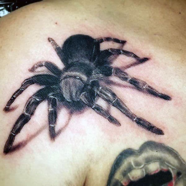 Tarantula Spider With Shadow Mens Shoulder Tattoos