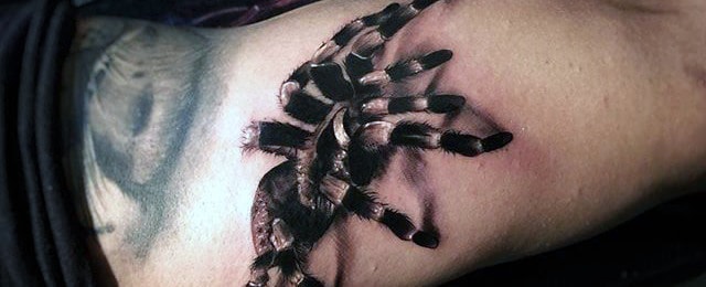 Tarantula Tattoo Designs For Men