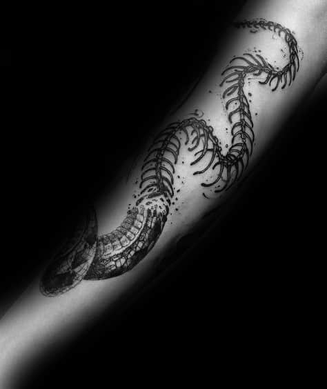 Snake skeleton tattoo on the forearm, featuring a flowing ribcage design with fine details and shading for a bold and eerie aesthetic.