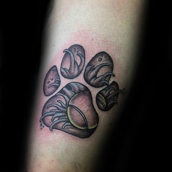 Tennis Ball And Fur 3d Dog Paw Male Arm Tattoo