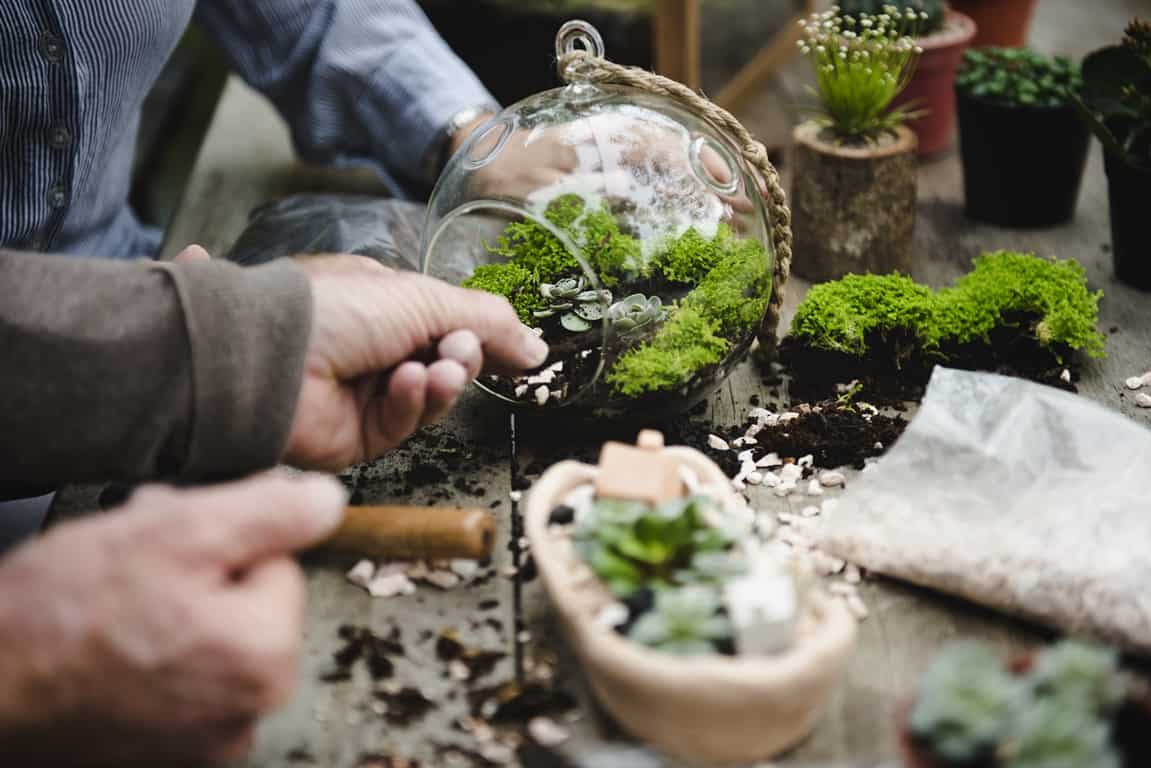 terrarium building skills