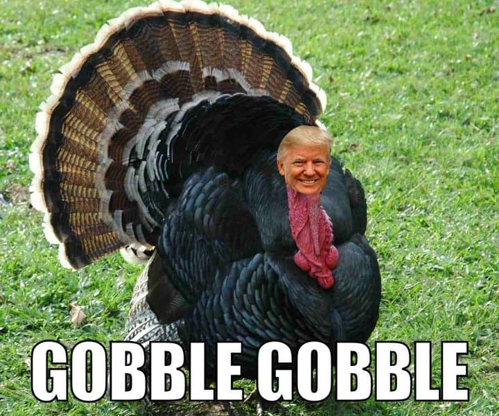 thanksgiving-memes-30