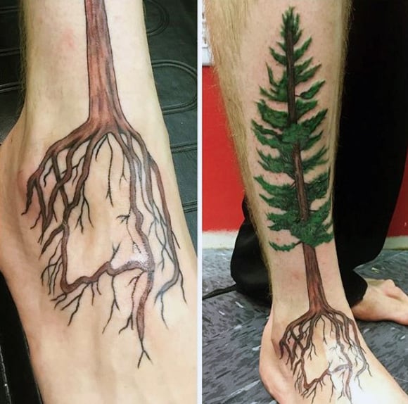 Thick Rooted Coniferous Tree Tattoo on a Foot