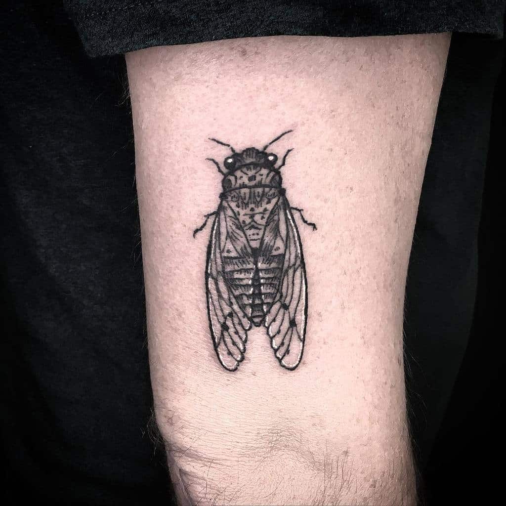 Black cicada tattoo on a leg above the knee