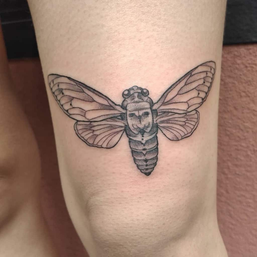 Tattoo of a cicada with a skull design on a thigh