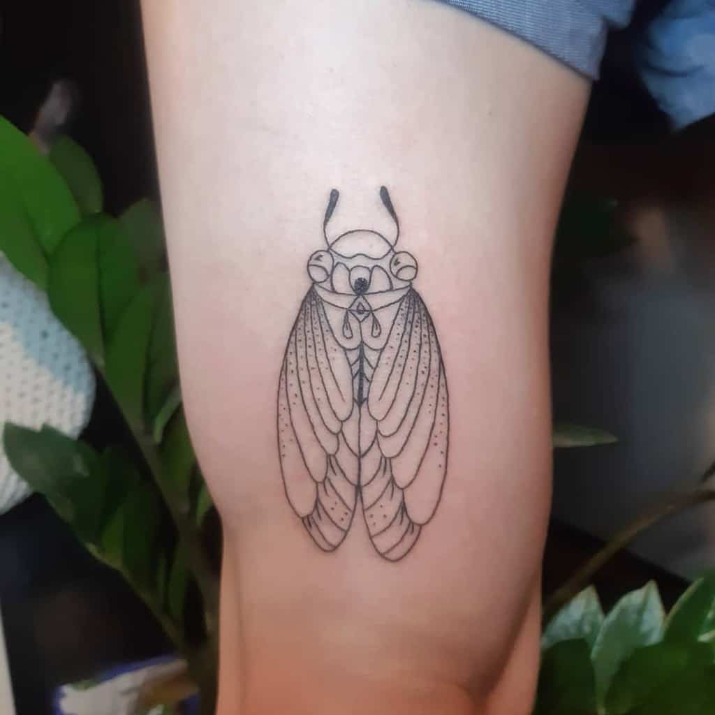 Line art tattoo of a cicada on a thigh