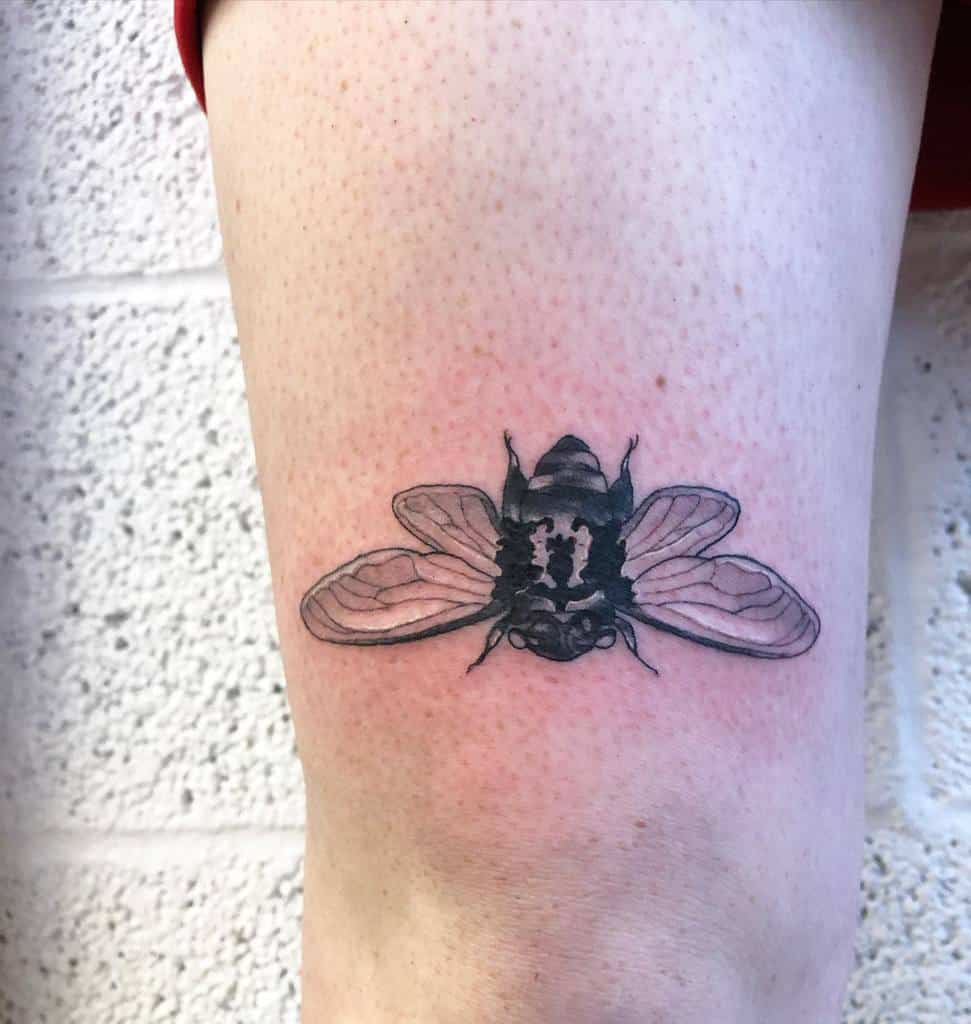 Cicada tattoo on a thigh with detailed wings and head