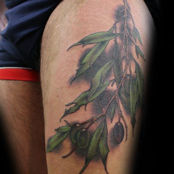Thigh Olive Branch Tattoo For Males