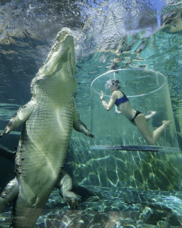 things-that-are-bigger-than-they-seem-12