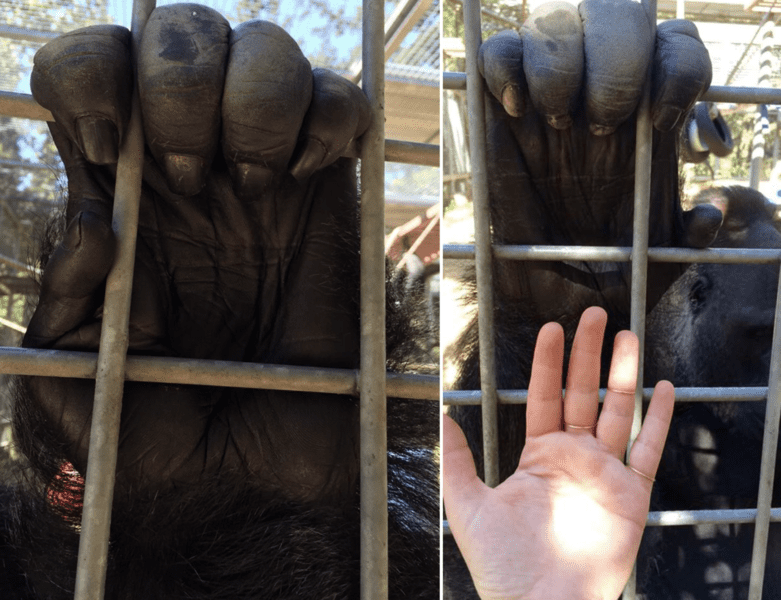 things-that-are-bigger-than-they-seem-16