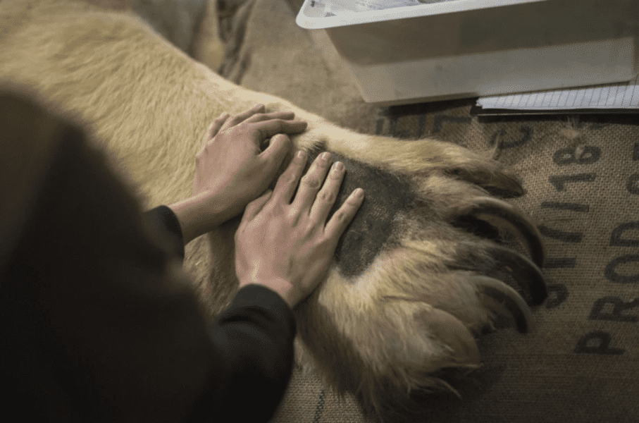 things-that-are-bigger-than-they-seem-6