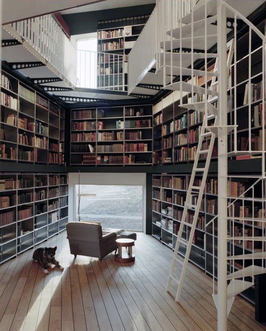 Cozy library with floor-to-ceiling bookshelves, spiral staircase, armchair, and a dog on wooden floor