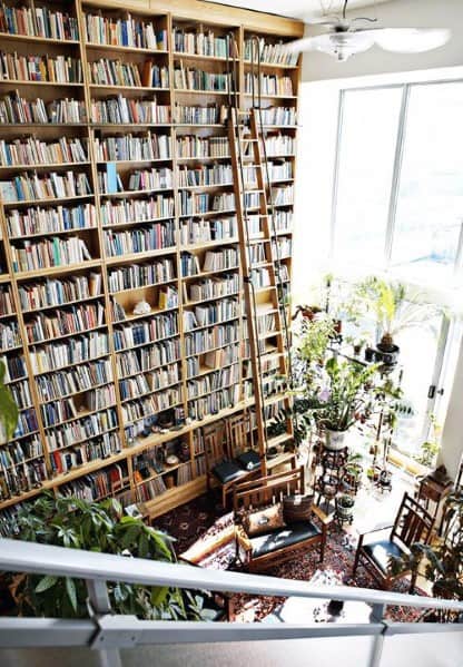 Room with towering bookshelves, a ladder, plants, and large airy windows