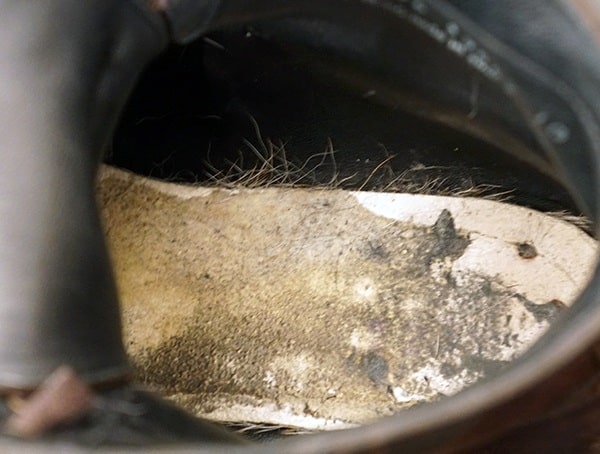 Thursday Boot Company Wingtip Boot Insert