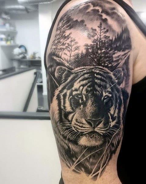 Tiger Arm Tattoo For Men