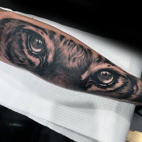 Tiger Eyes Male Tattoo Designs