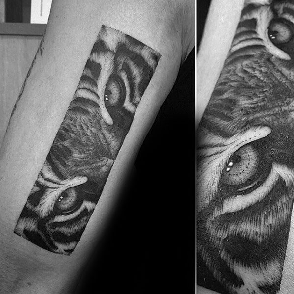 Tiger Eyes Tattoos For Gentlemen
