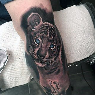 Realistic tattoo of a young tiger on an arm, featuring vibrant blue eyes