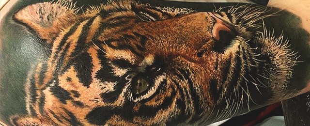 Tiger Tattoo Designs For Men