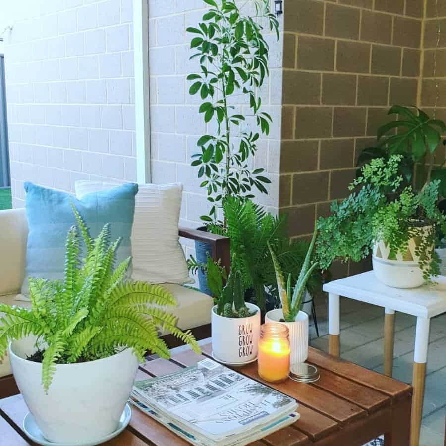 small patio with table chairs and pot plants