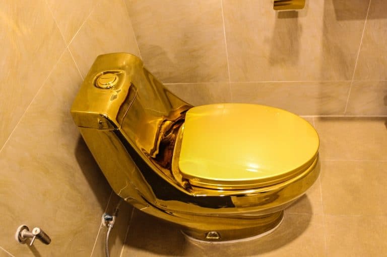 toilet bathroom with gold