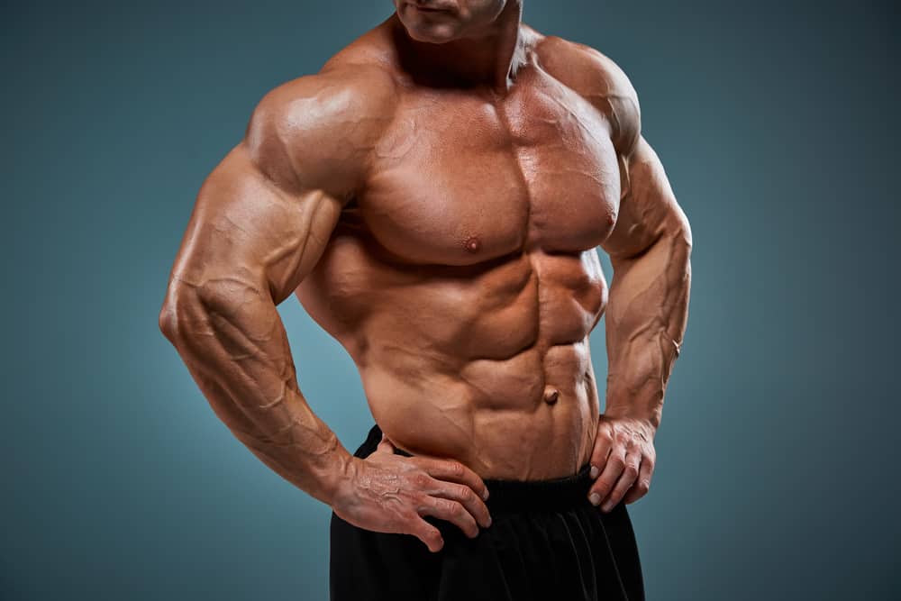 attractive male body builder showing torso on gray background