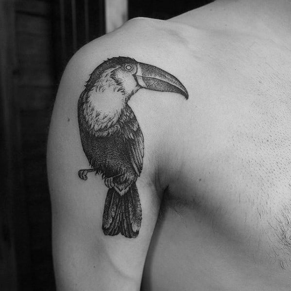 Detailed black and grey toucan tattoo on the shoulder with fine dotwork and realistic shading for a classic, elegant style.